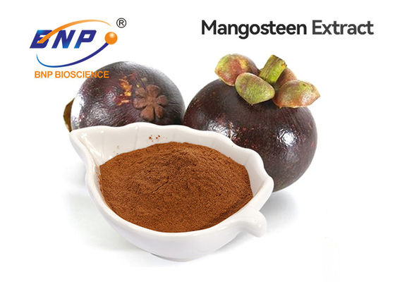 پودر عصاره منگوستین آلفا-مانگوستین 10 تا 90 درصد طبیعی دارای گواهی GMP/ISO از BNP چین