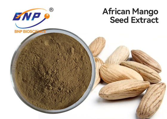 فلاون ها 10% گیاهی طبیعی پودر دانه انبه آفریقایی زرد قهوه ای را استخراج می کند