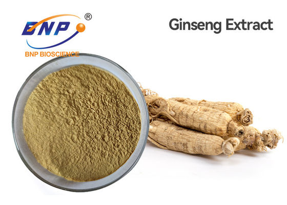 عصاره گیاهی طبیعی Panax Ginseng Ca Meyer Ginsenoside 5%