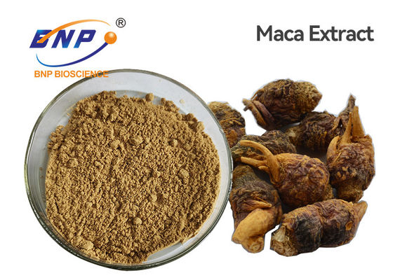 عصاره گیاه طبیعی Lepidium Meyenii پودر ریشه ماکا آلی قهوه ای روشن را استخراج می کند