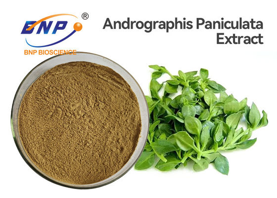 پودر عصاره آنتی ویروس آندروگرافیس پانیکولاتا 50% آندروگرافولید HPLC