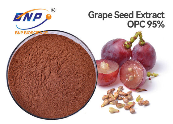 پودر عصاره پوست انگور HPLC پلی فنول 70% Sambucus Nigra L.