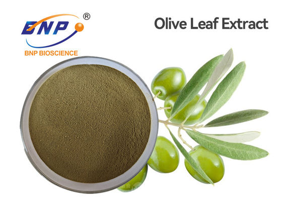 عصاره گیاهی طبیعی زرد قهوه ای HPLC از Oleuropein 60% پودر عصاره برگ زیتون