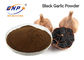 پودر سیر سیاه تخمیر شده با بوی کمتر SAC 0.1% پلی ساکارید 0.5%