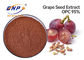 عصاره هسته انگور ارگانیک قهوه ای قرمز پلی فنل 95% مراقبت از لوازم آرایشی و بهداشتی