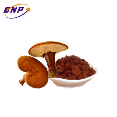 تامین پودر عصاره قارچ برزیلی طبیعی پلی ساکارید 10%-50%
