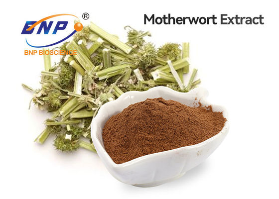 عصاره Motherwort پودر قهوه ای درجه مواد غذایی