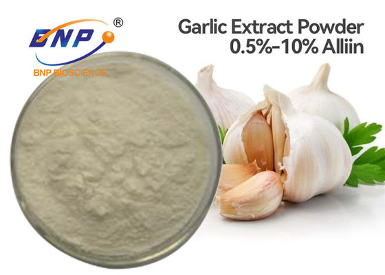 10% آلیین عصاره سیر پودر آلیوم ساتیوم L. ضد دیابت