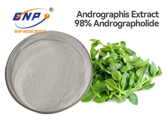پودر عصاره برگ ISO Andrographis Paniculata 98% Andrographolide