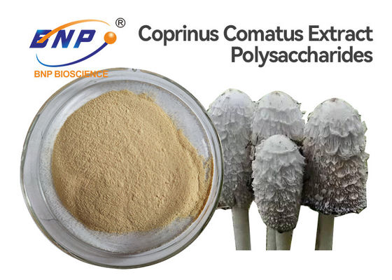 پودر عصاره قارچ تست UV بدون GMO Coprinus Comatus