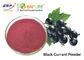 پودر آب انگور سیاه قرمز بنفش، عصاره میوه سیاه دانه، درجه غذایی Ribes Nigrum