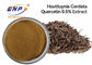 پودر عصاره Houttuynia Cordata با کیفیت بالا Herba Houttuyniae Extract Quercetin