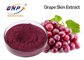پودر عصاره دانه انگور قرمز Vitis Vinifera HPLC Resveratrol 5%