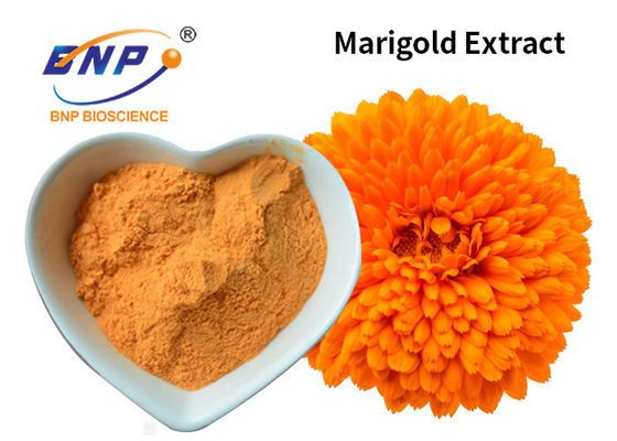 پودر زرد عصاره گل همیشه بهار 10٪ تا 80٪ لوتئین رنگی افزودنی غذایی Tagetes Erecta L.
