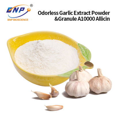 پودر عصاره سیر بدون بو و گرانول A10000 آلیسین سفارشی پذیرفته شده