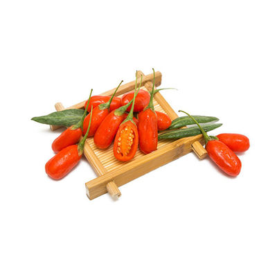 عصاره های گیاهی مشتق شده از گیاه پودر برای B2B
