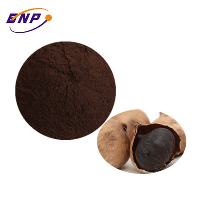 پودر عصاره سیر سیاه تک سر تخمیر شده
